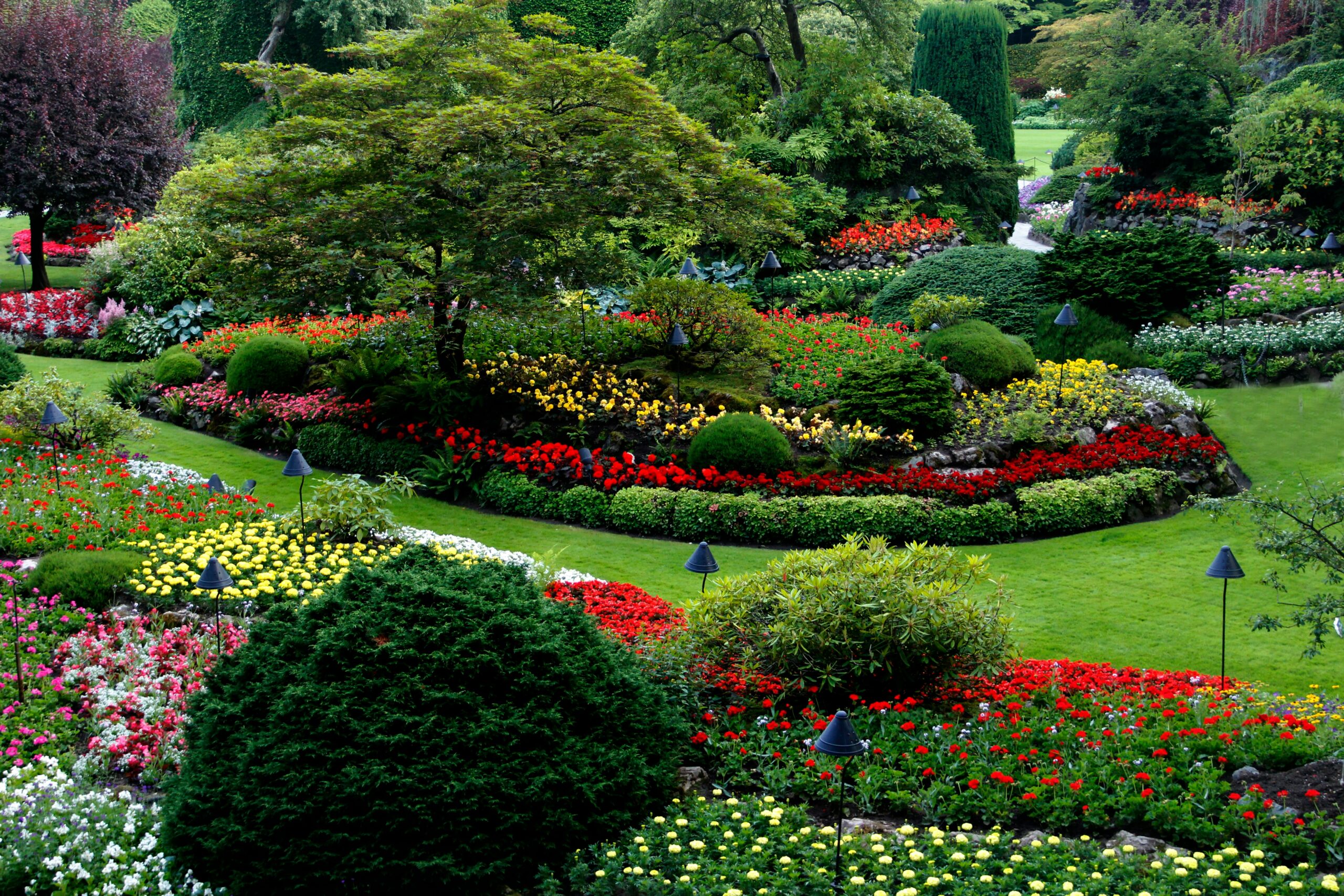 well landscaped garden with trees, bushes, and flowers