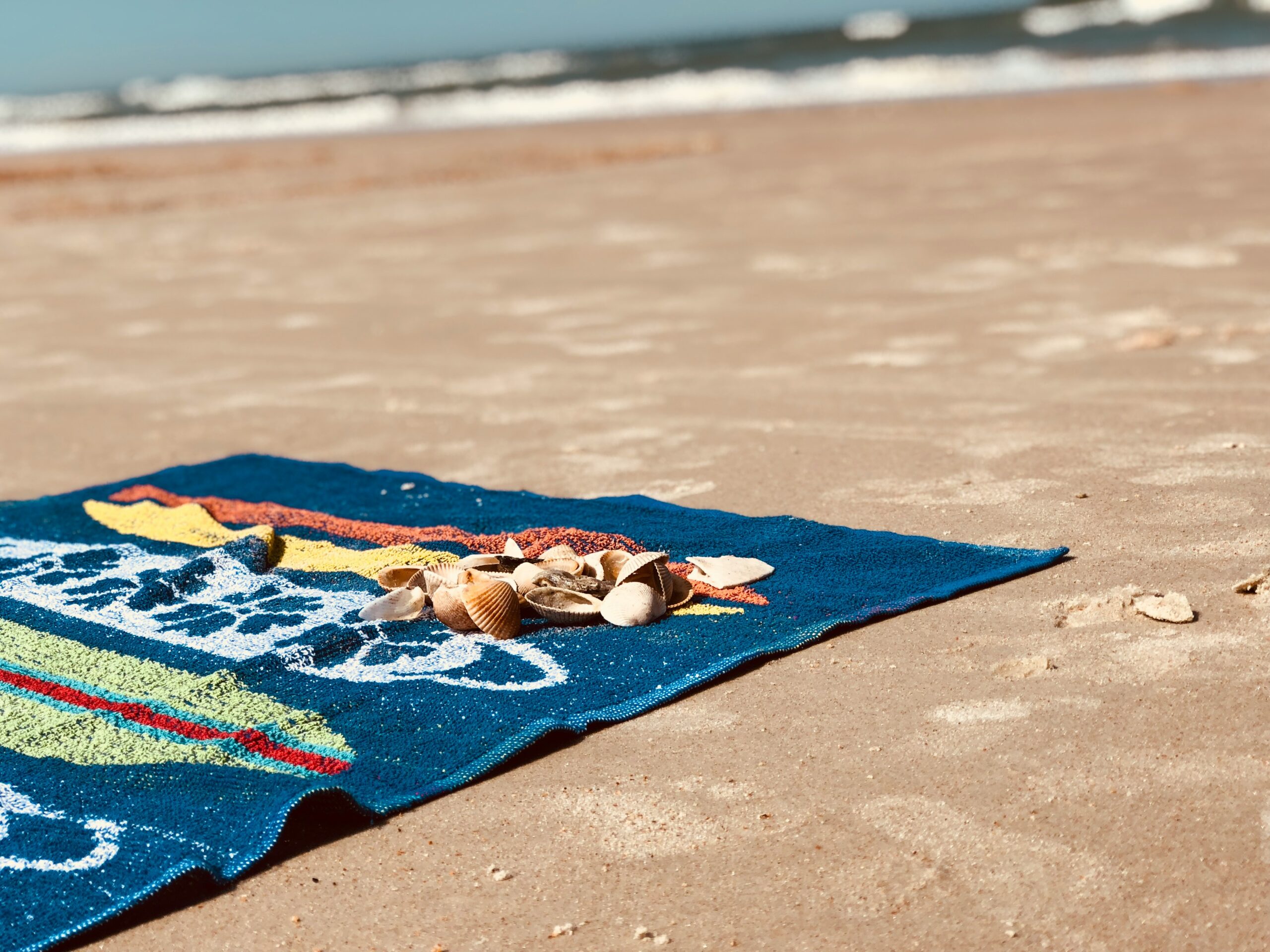 beach towel with seashells on the sand during the summer